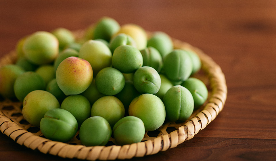 【中川政七商店 渋谷店・福岡天神店】6月 開催「梅シロップづくり」ワークショップ